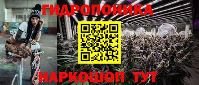 не бодяженный Сланцы